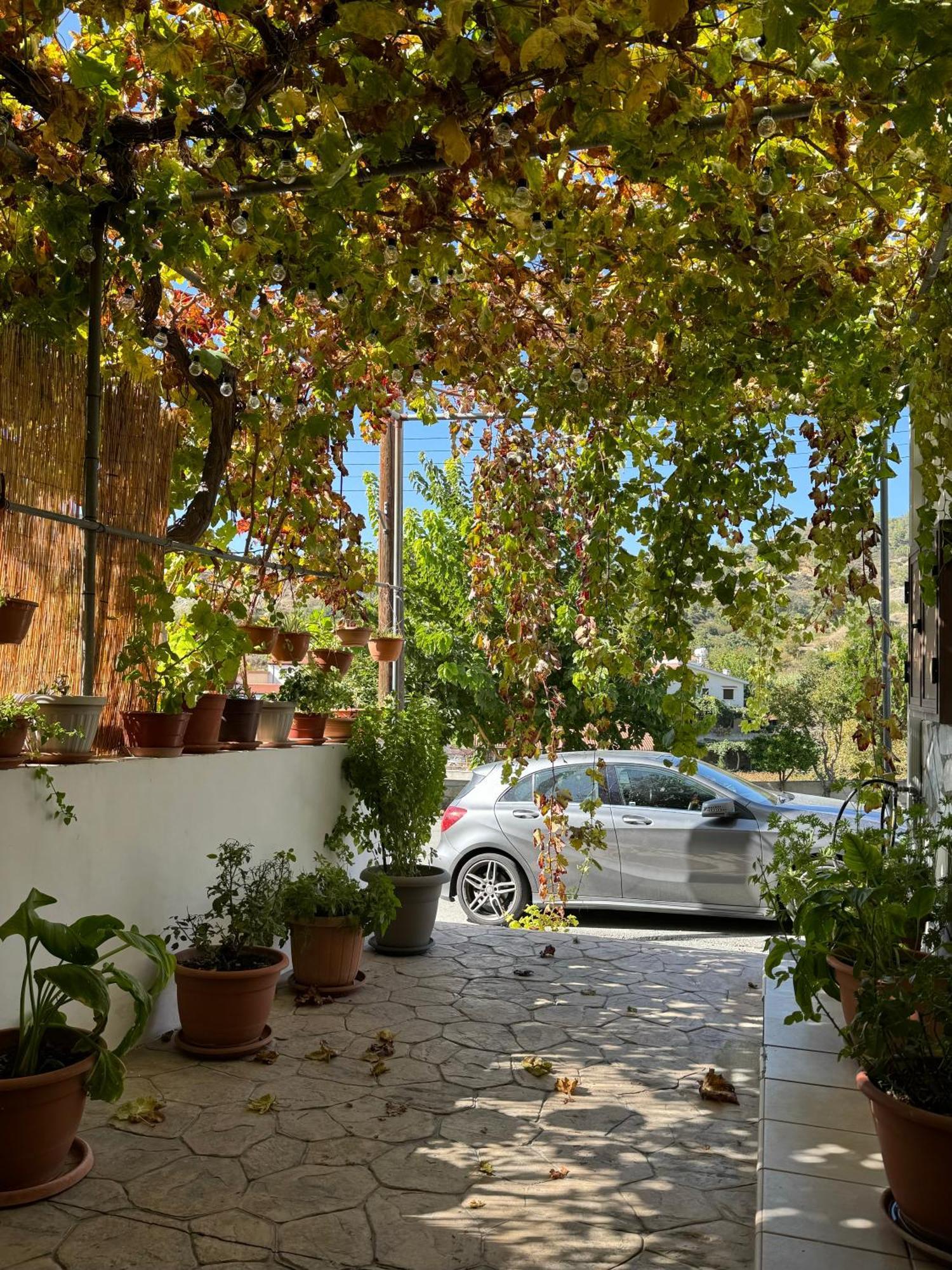 Στου Στεφανή Villa Agros Buitenkant foto